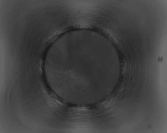 X0000091170643200708301156