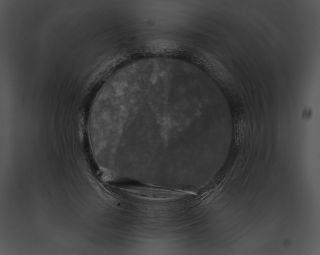 X0000091170644200708301156