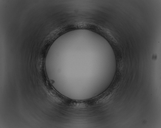 X0000091170645200708301156