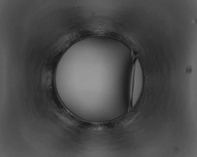 X0000091170646200708301156