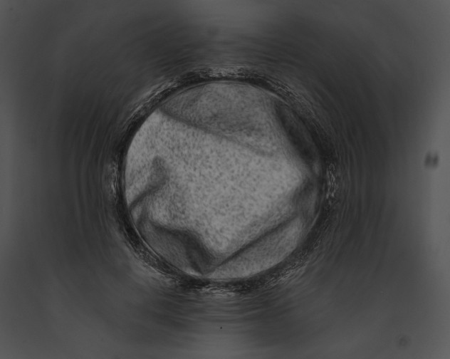 X0000091170648200708301156