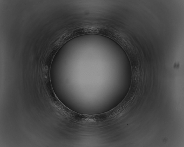 X0000091170649200708301156