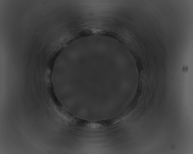 X0000091170650200708301156