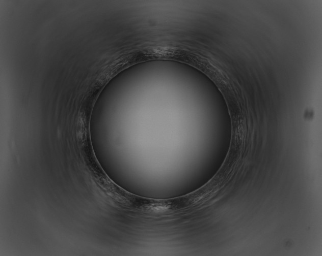 X0000091170651200708301156