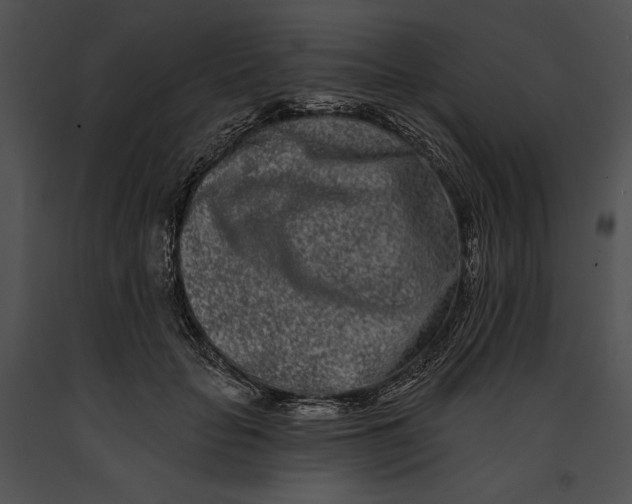 X0000091170653200708301156