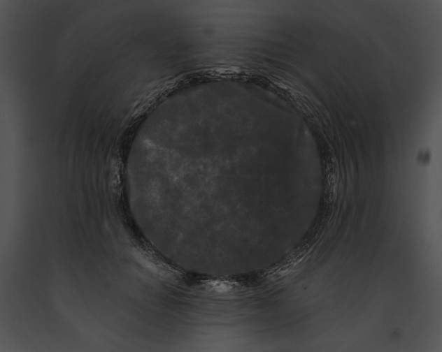 X0000091170654200708301156