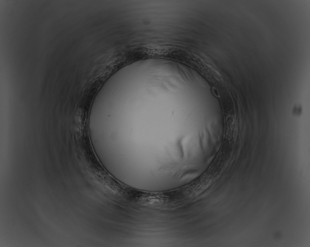 X0000091170655200708301156