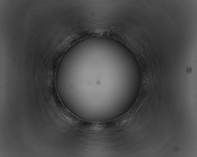 X0000091170656200708301156