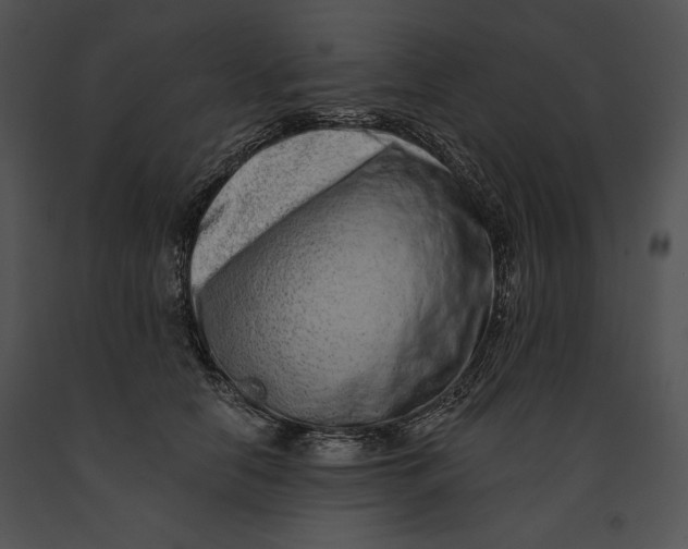 X0000091170658200708301156