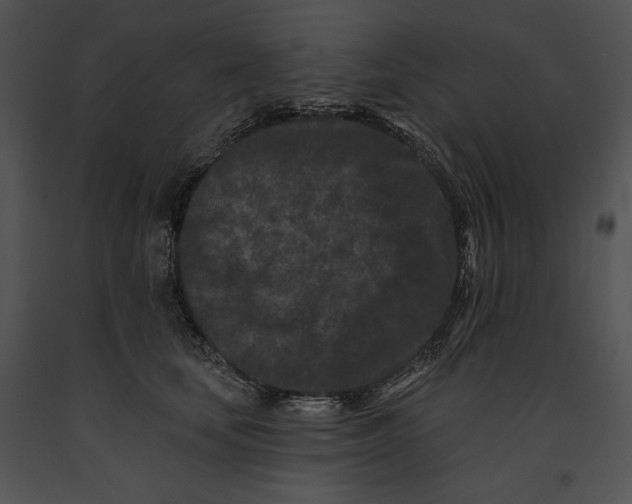 X0000091170659200708301156