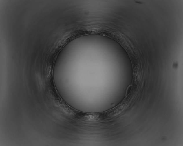 X0000091170660200708301156