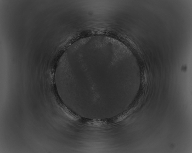 X0000091170661200708301156