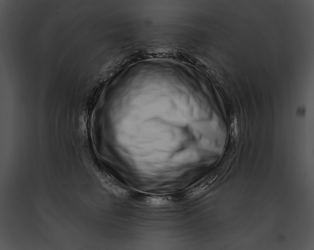 X0000091170662200708301156