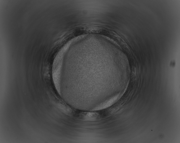 X0000091170663200708301156