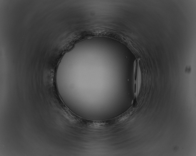 X0000091170664200708301156