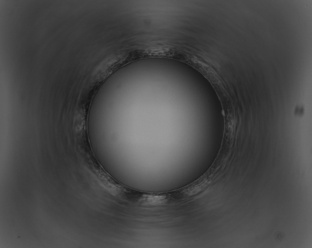 X0000091170665200708301156