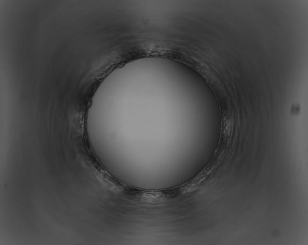 X0000091170666200708301156