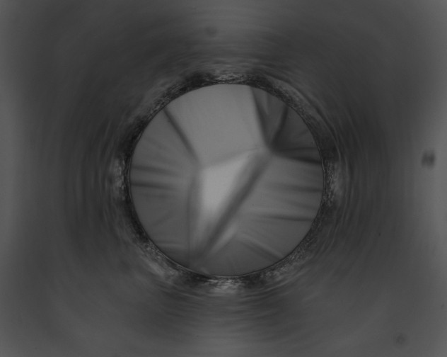 X0000091170667200708301156