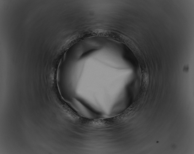 X0000091170668200708301156