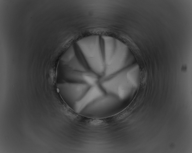 X0000091170669200708301156