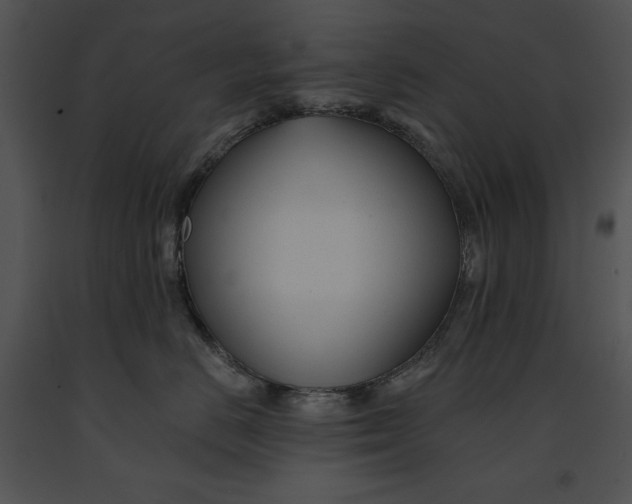 X0000091170670200708301156