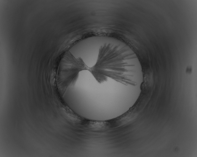 X0000091170671200708301156