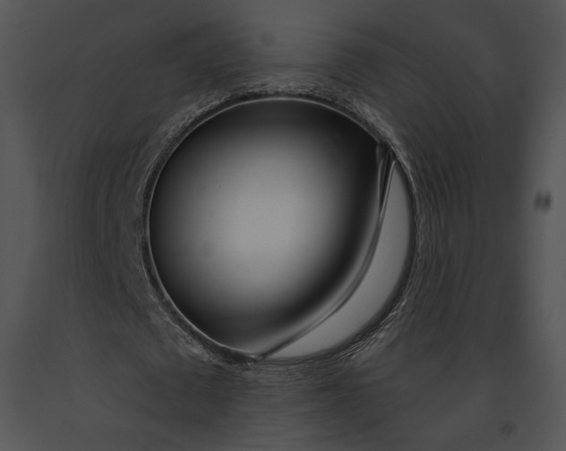 X0000091170673200708301156