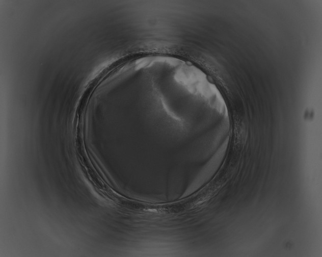 X0000091170674200708301156