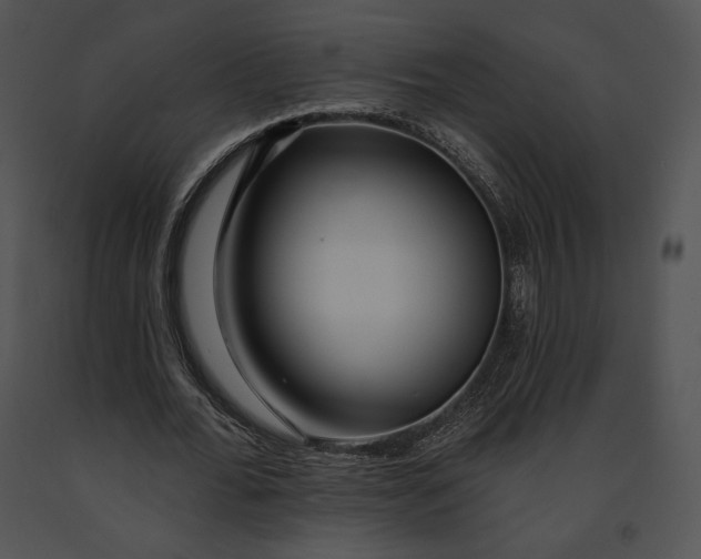 X0000091170676200708301156