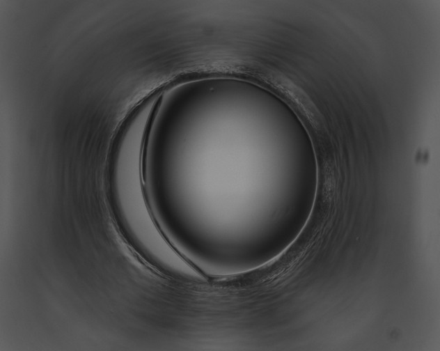 X0000091170677200708301156