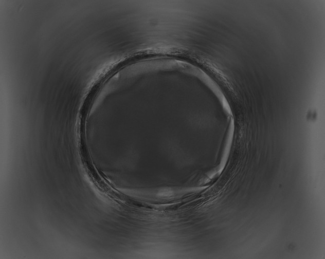 X0000091170678200708301156