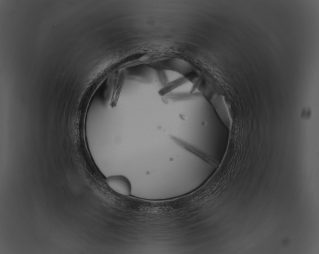 X0000091170679200708301156