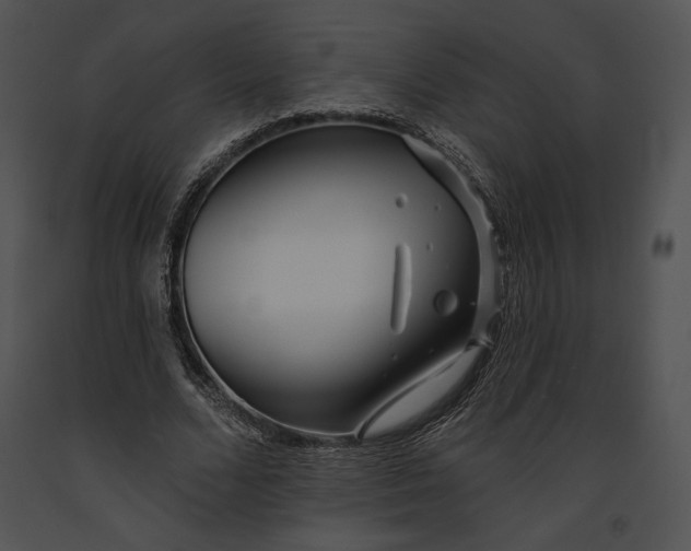 X0000091170680200708301156