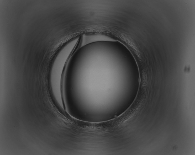 X0000091170681200708301155