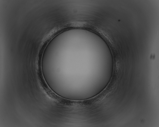 X0000091170682200708301155