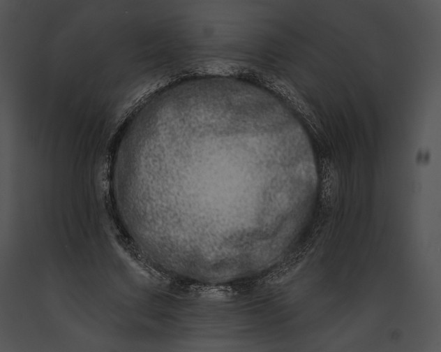 X0000091170683200708301155