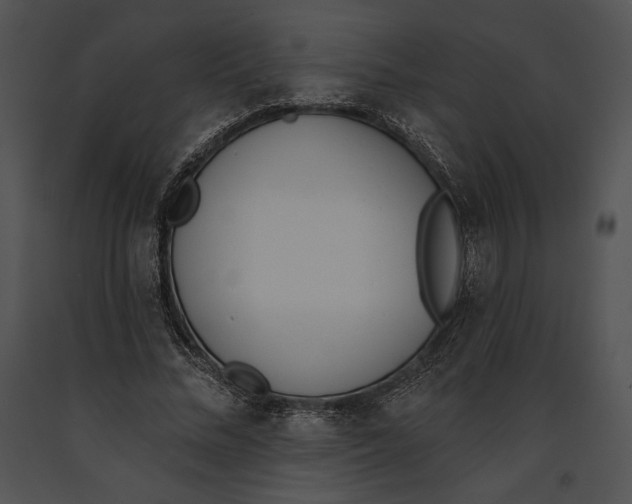 X0000091170684200708301155