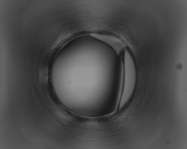 X0000091170685200708301155