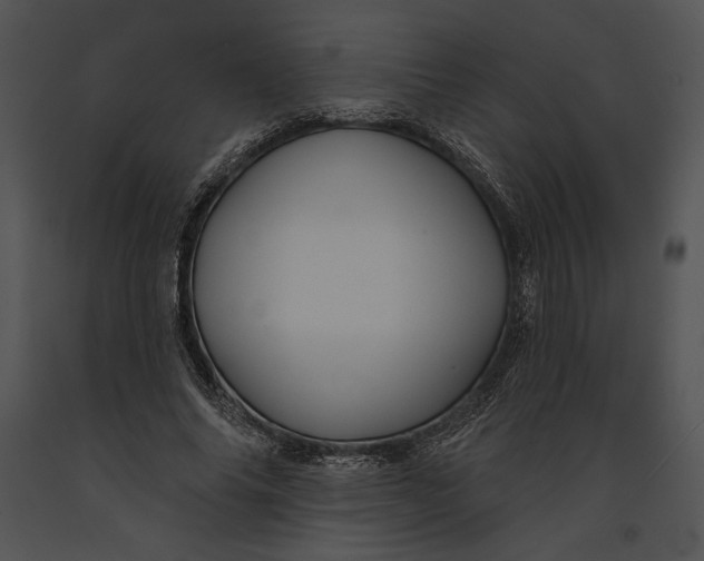 X0000091170686200708301155