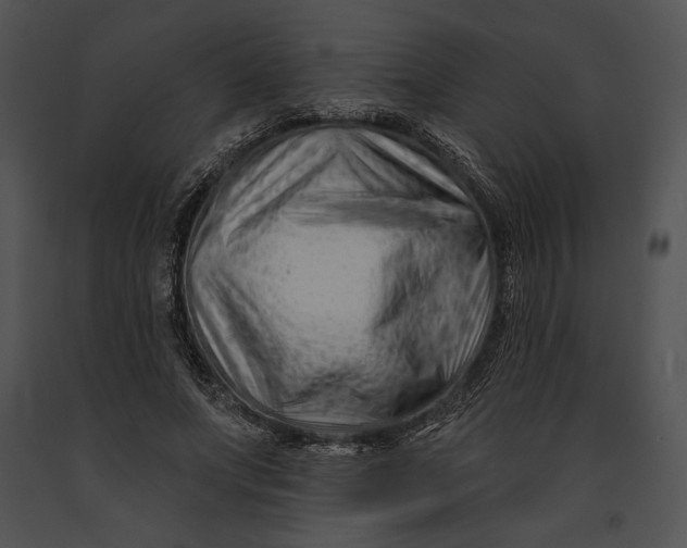 X0000091170687200708301155