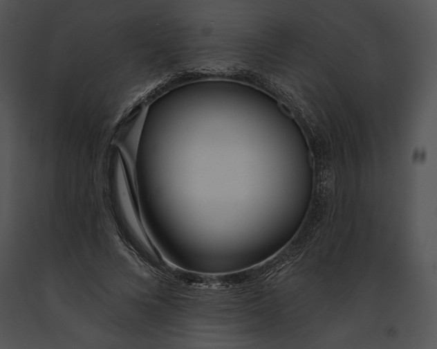 X0000091170688200708301155