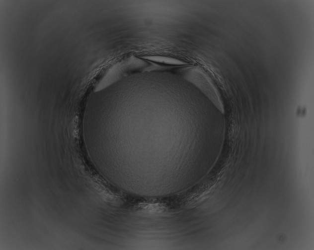 X0000091170689200708301155