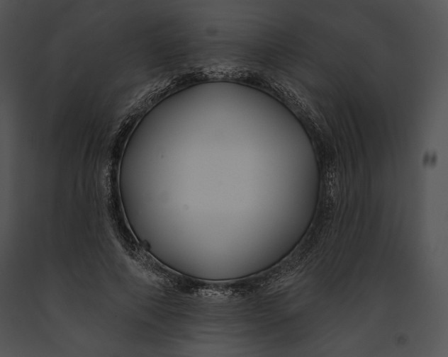 X0000091170690200708301155