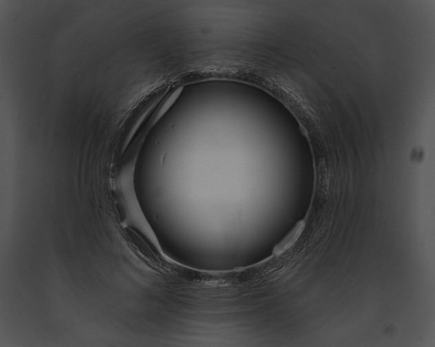 X0000091170692200708301155