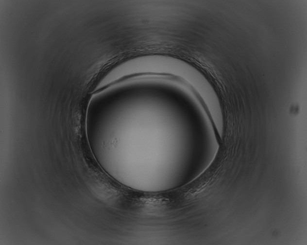 X0000091170693200708301155