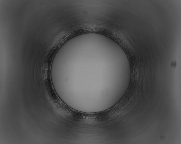 X0000091170694200708301155