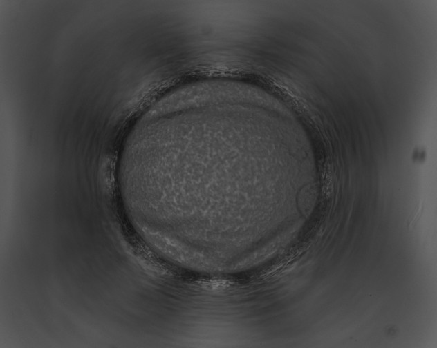 X0000091170695200708301155