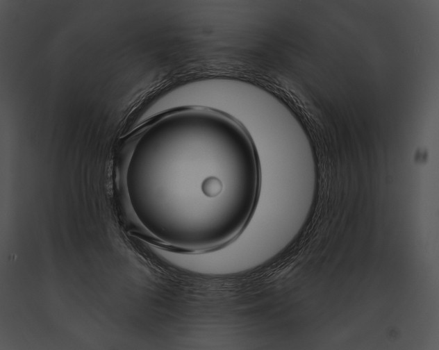 X0000091170696200708301155