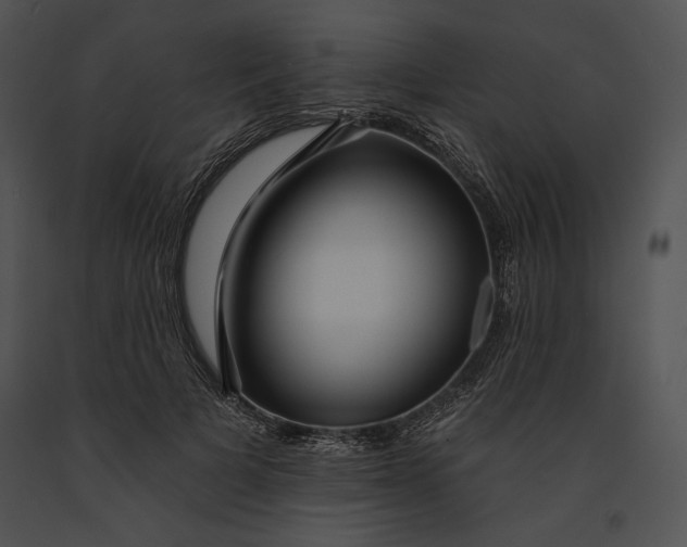 X0000091170697200708301155