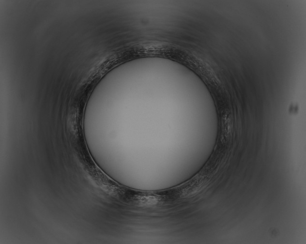 X0000091170698200708301155